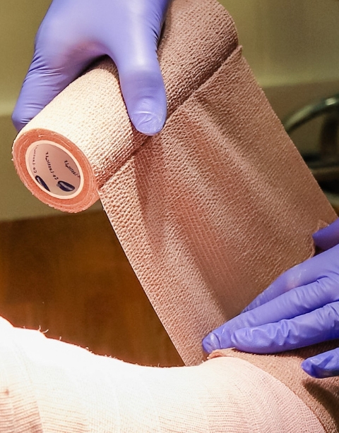Wound Care St Augustine Wrap Wound Care St Augustine Wrap